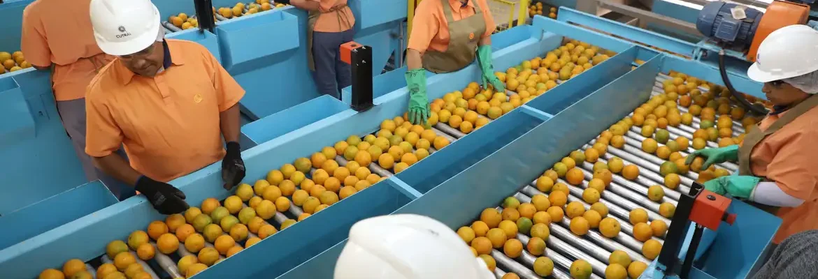 Confira a lista de quase 700 produtos que não serão taxados pelos EUA