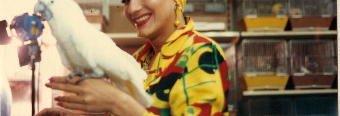 Hoje é Dia: Carmen Miranda e Hans Christian Andersen são destaques