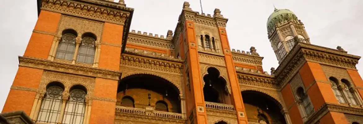 Casos de vírus respiratório e Influenza A estão em queda no Brasil