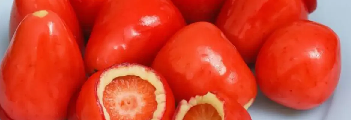 Conselho Federal de Odontologia alerta sobre riscos do morango do amor