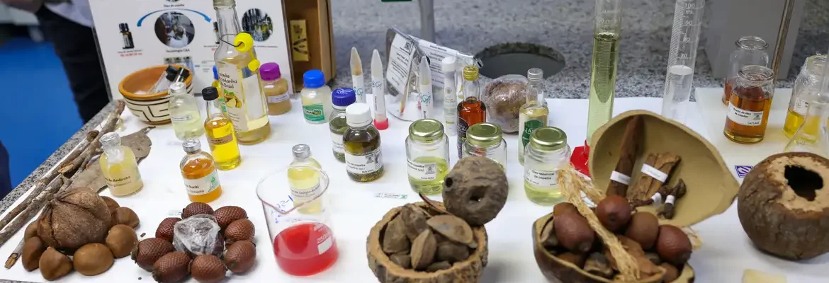 Centro desenvolve modelo de negócios com base na biodiversidade