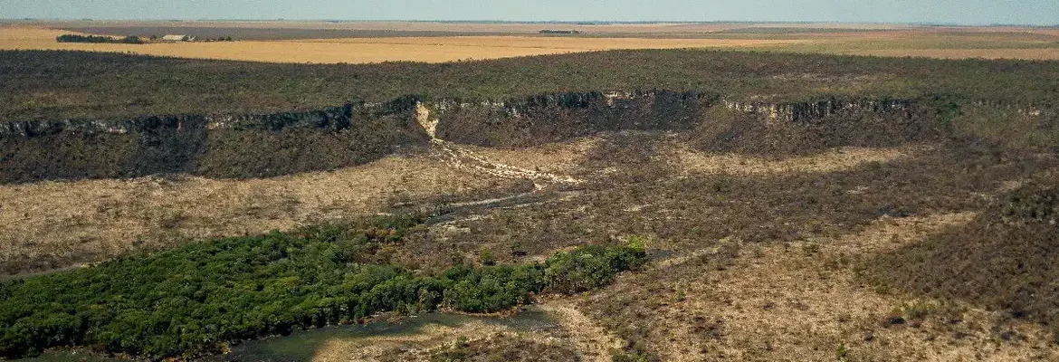 Prazo para aderir ao controle do desmatamento começa dia 12 de abril