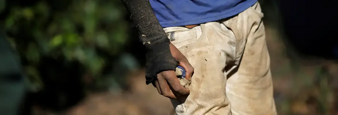 OIT: lucros anuais do trabalho forçado chegam a US$ 236 bilhões ao ano