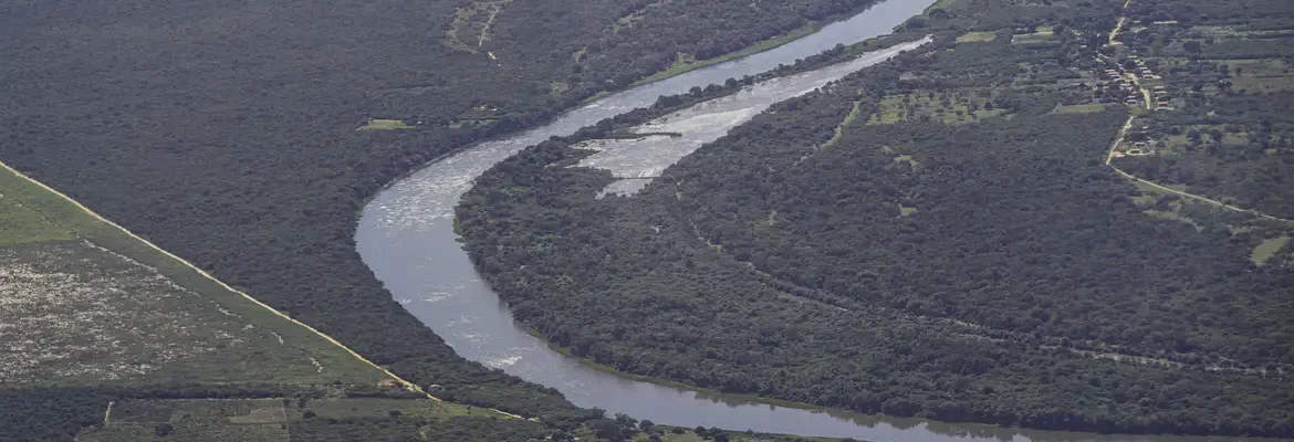 Mata Atlântica: desmatamento cai em áreas contínuas entre 2022 e 2023