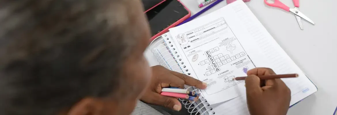 Taxa de alfabetização chega a 93% da população brasileira, revela IBGE