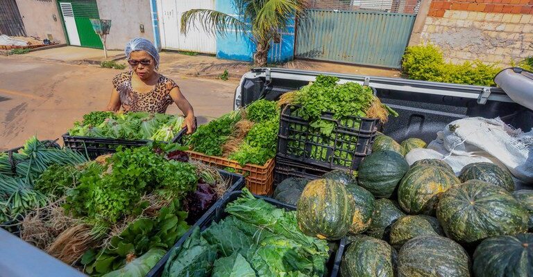 Conheça os alimentos que compõem a nova cesta básica