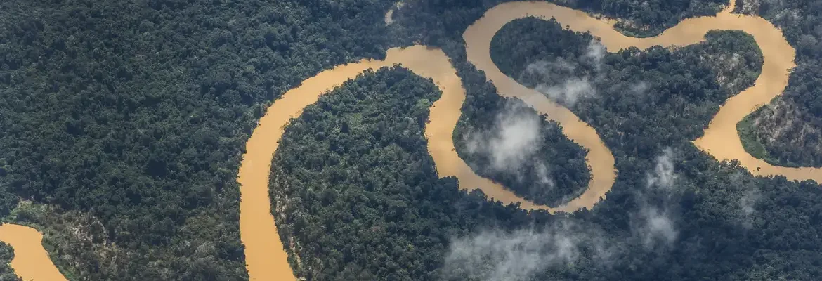 Forças Armadas combatem garimpo na Terra Indígena Yanomami