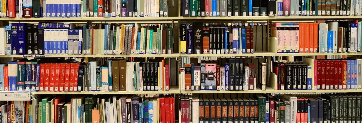 Lei cria Sistema Nacional de Bibliotecas Escolares