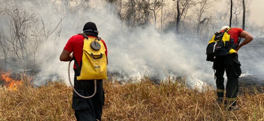 Força-Tarefa do Corpo de Bombeiros combate incêndios florestais em Alvorada do Oeste