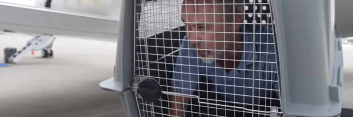 CEO de empresa aérea para cães viaja por 3 horas numa caixa para sentir na pele como o animal se sente