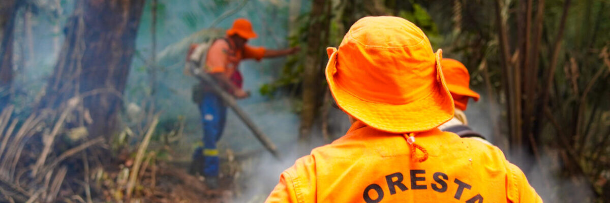 Governo de RO assegura mais de R$ 12 milhões para reforço aéreo no combate aos incêndios florestais