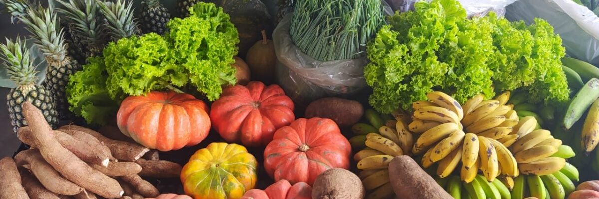 Programa de Aquisição de Alimentos Federal vai contemplar mais de mil produtores rurais em Rondônia