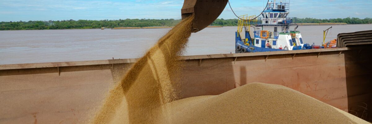 Porto Velho lidera a produção de soja em Rondônia e se consolida como nova fronteira agrícola
