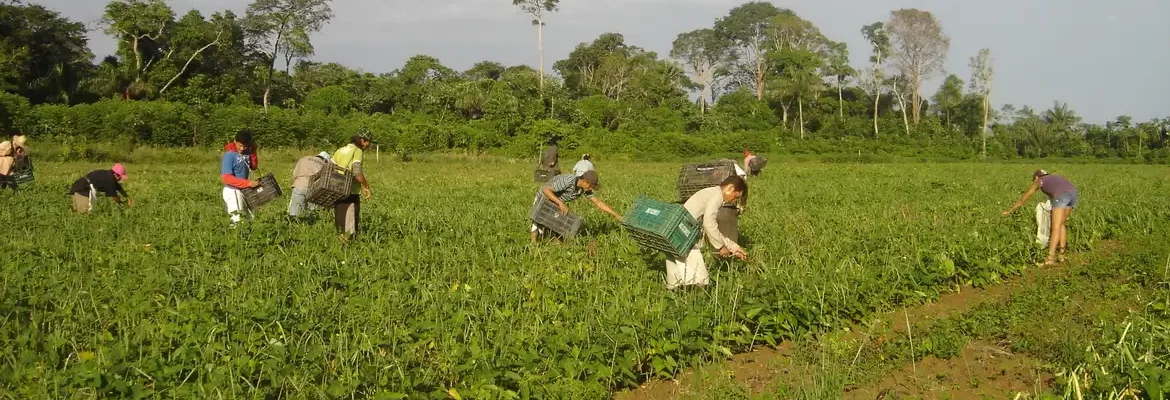Moradores do campo ainda são mais afetados por insegurança alimentar