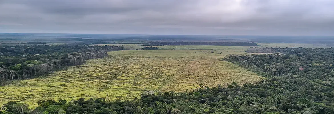 Prorrogada adesão a programa de combate ao desmatamento na Amazônia
