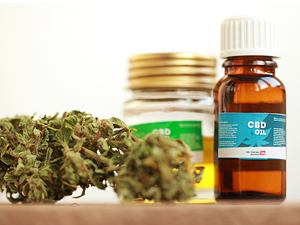 STJ absolve acusado de tráfico por plantar maconha para fins medicinais