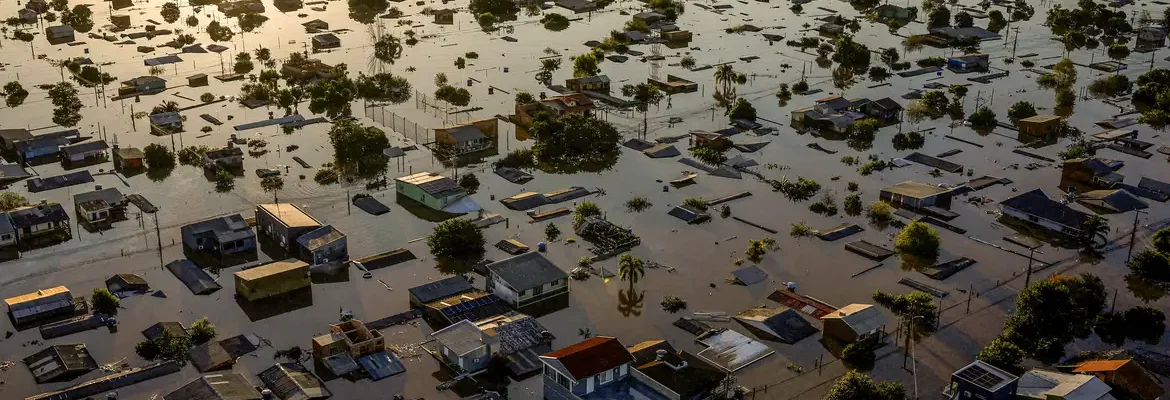 Lavoura, maquinário, animais: chuvas no RS prejudicam agropecuária