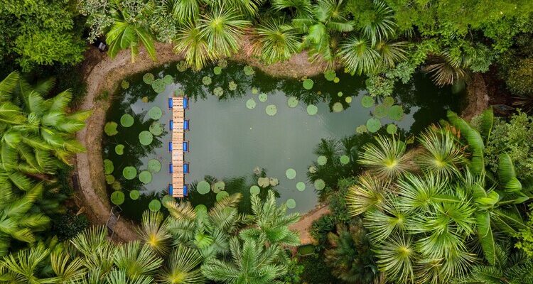 Cidades amazônicas: como é viver tão próximo da maior floresta tropical do planeta