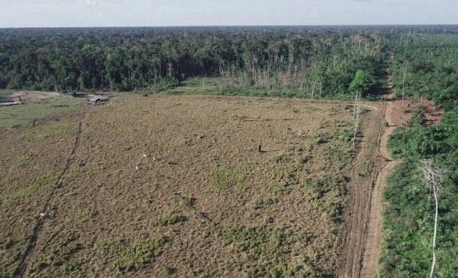 Proposta de criação de zona de desenvolvimento sustentável incentivou desmatamento e degradação florestal na fronteira entre os estados do Amazonas, Acre e Rondônia