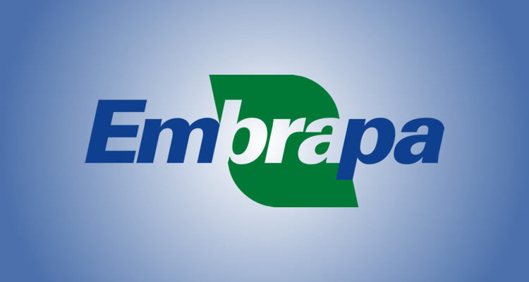 Embrapa anuncia concurso com salários de até R$ 11 mil; veja como participar