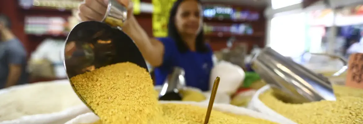 Em 2023, população brasileira ocupada passou dos 100 milhões