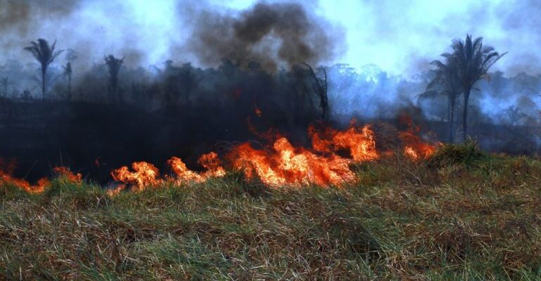 Nova lei define regras para uso do fogo em áreas rurais
