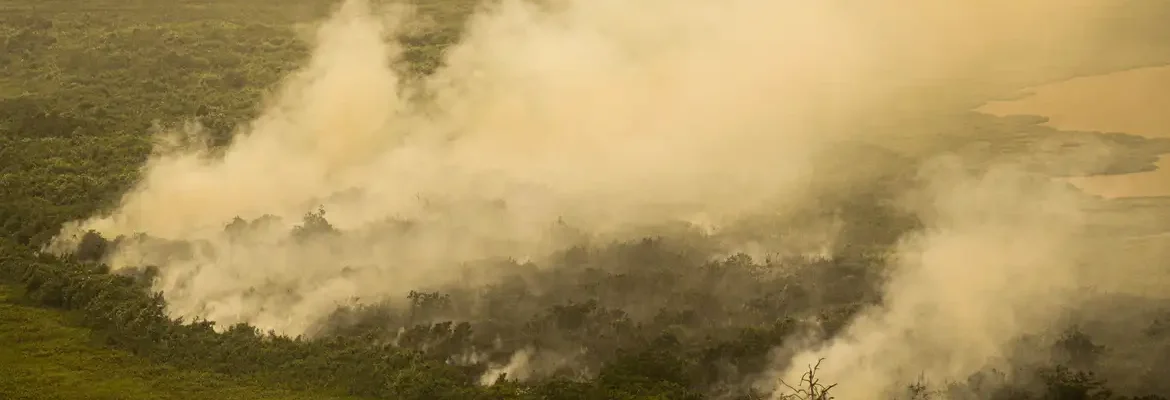 Com incêndios, Mato Grosso do Sul decreta situação de emergência