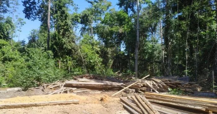Esquema de empresas de fachada é descoberto em Rondônia