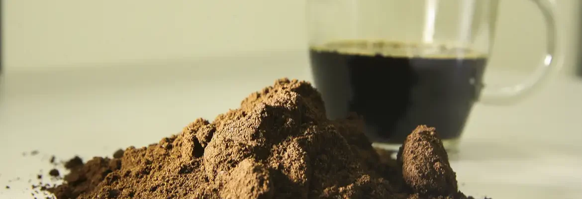 Aroma do café pode ser instrumento para reduzir tabagismo