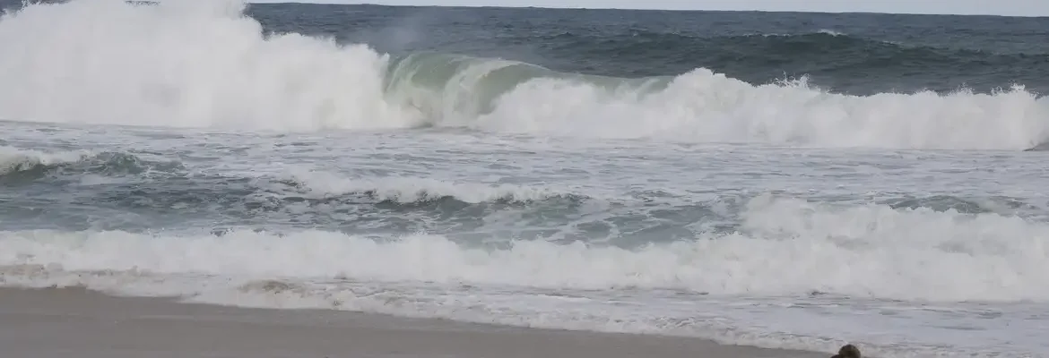 Relatório sobre oceano aponta aquecimento, acidificação e queda de O₂