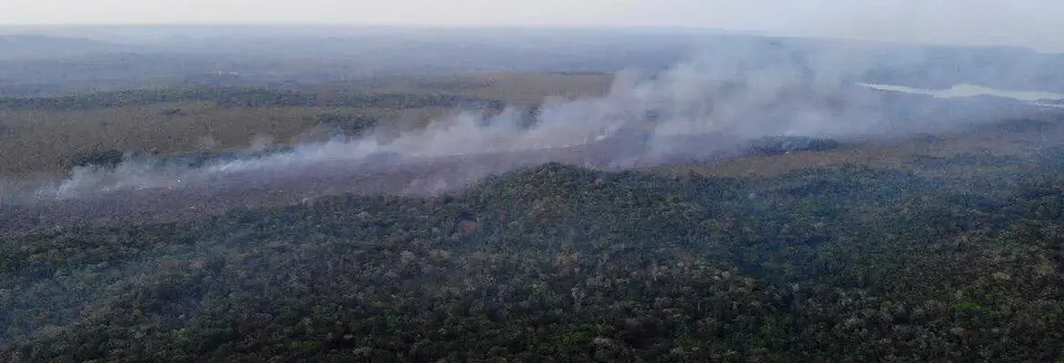Calendário define áreas em emergência ambiental por incêndio florestal