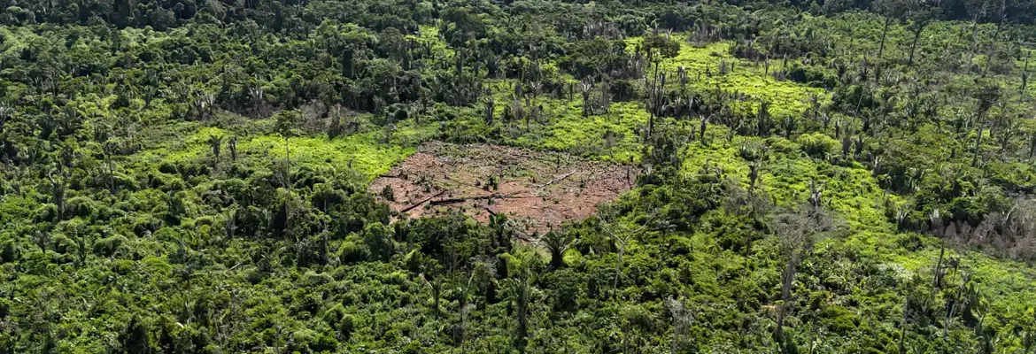 Indígenas karipuna denunciam aumento de invasores em sua terra