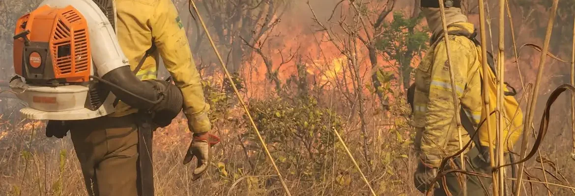 Ações do país evitaram cenário pior de secas e queimadas, diz Marina